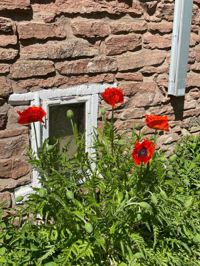 Rosenfors Herrgard B&B Боргхольм Экстерьер фото